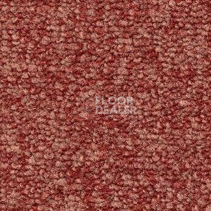 Ковролин Radici Trotter Mattone 9488 фото 1 | FLOORDEALER